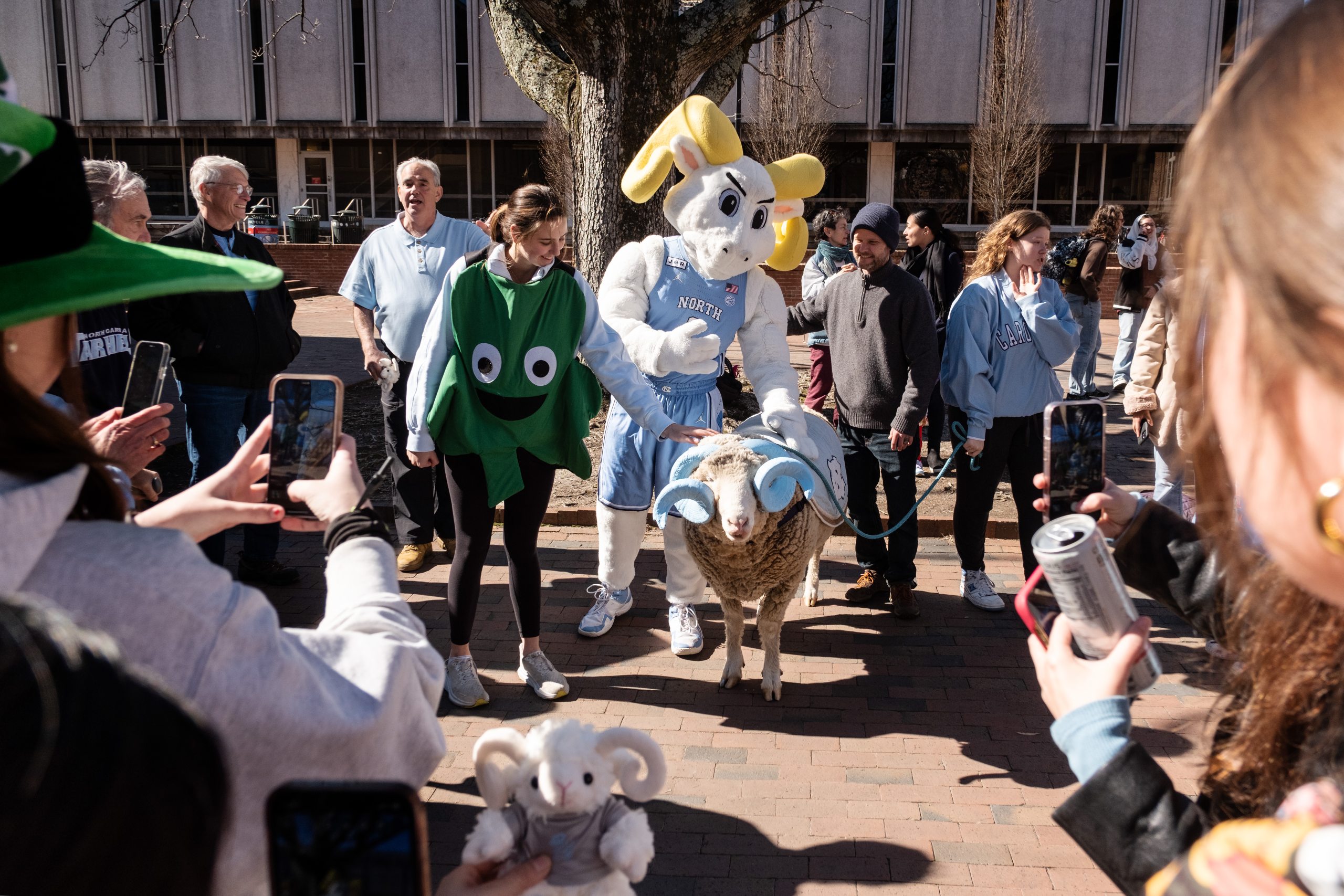 A group of people and a mascot posing with a live ram mascot, Rameses, on the campus of UNC-Chapel Hill.