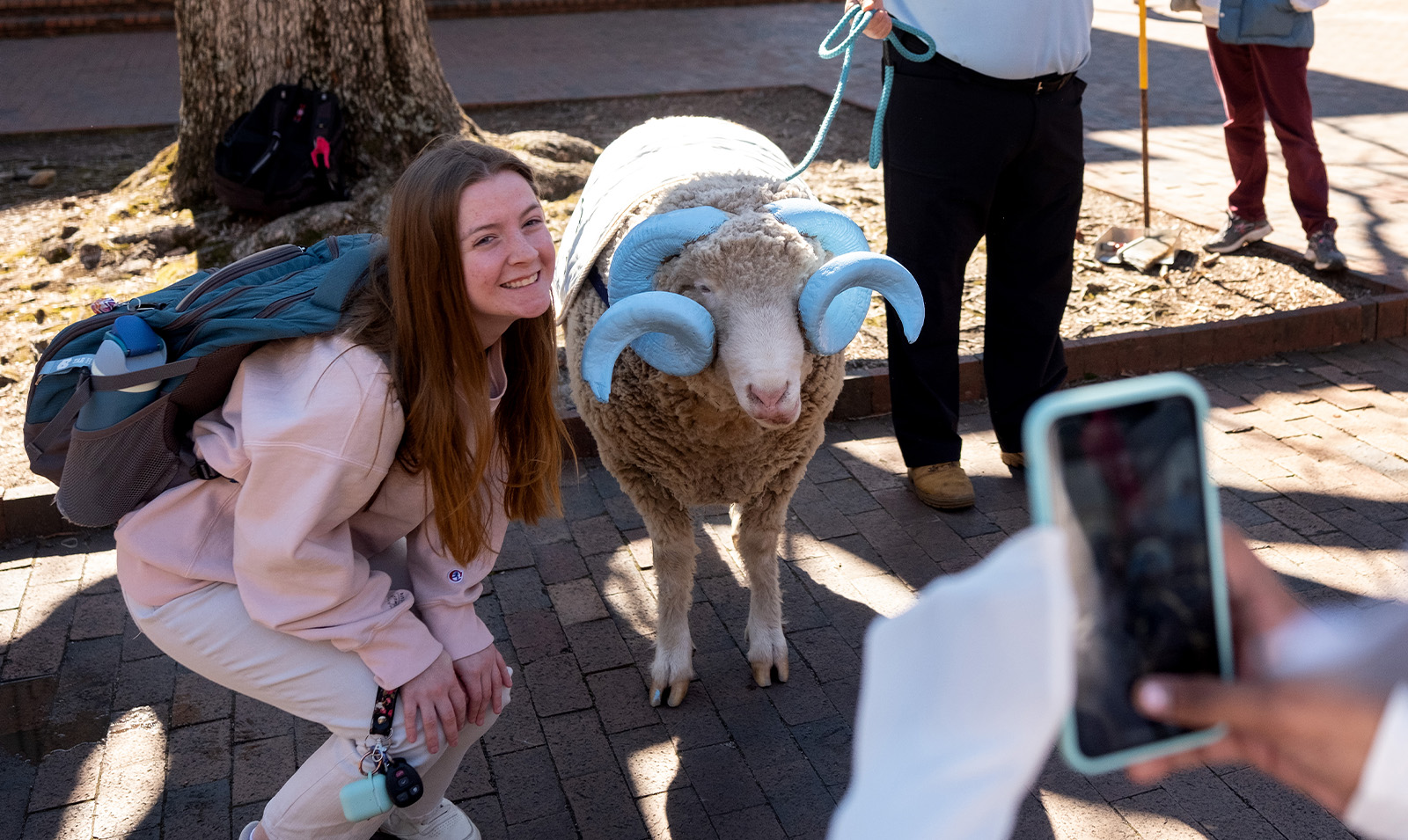 A student posing with a live ram mascot, Rameses, at the Pit on the campus of UNC-Chapel Hill.